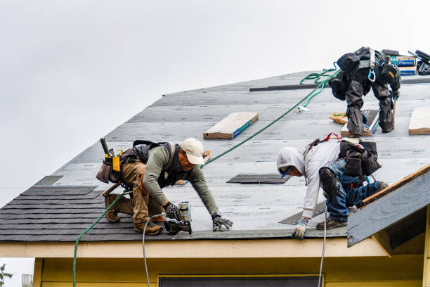 Professional Storm Damage Roof Repair technician working in Andover, IL